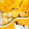 SP2s思博瑞 一代通用蛋