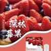 SP2s思博瑞 一代通用蛋